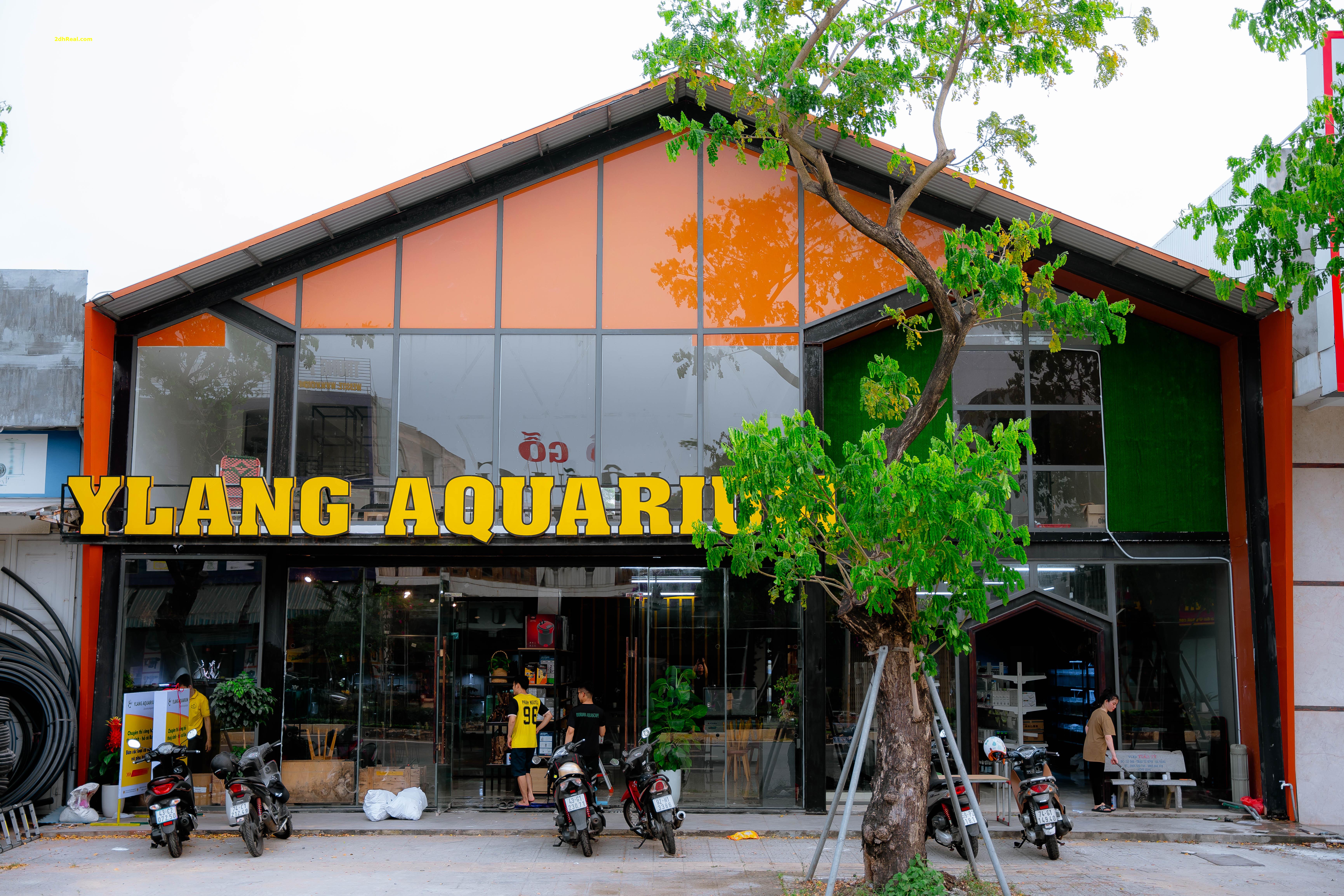 Cửa hàng thủy sinh lớn nhất đà Nẵng